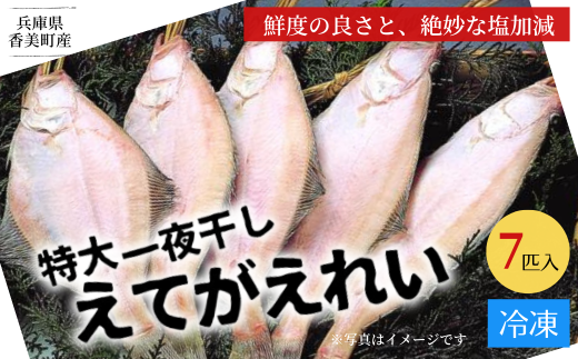 【兵庫県香住産 特大 一夜干し えてがれい 7匹入り】産地直送 冷凍 「味にこだわり」 他社とは一味違う鮮度の良さ、ツヤと色合い、絶妙な塩加減。焼いた時にふっくらするよう干し加減に