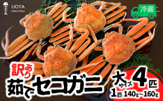 【数量限定】【訳あり 茹で セコガニ 大サイズ(140〜160g)4匹 指落ち(1〜2本)冷蔵】11月中旬以降順次発送 カニの本場 香住 濃厚なかにミソ やみつきになる内子 外子が絶品です 大人気 ふ