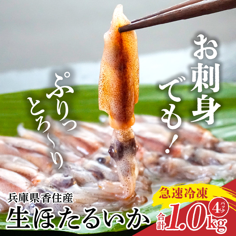 【先行予約】【兵庫県香住産 訳あり 生 ホタルイカ ほたるいか 小分け 便利 1kg(250g×4パック)冷凍】 令和8年3月初旬から下旬にかけて発送開始予定 国産 香住 いか イカ 大人気 人気 おすす