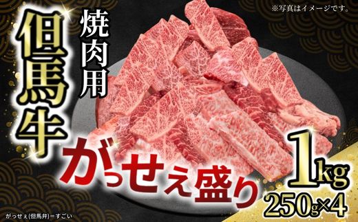 【但馬牛がっせぇ盛り 焼肉用計1kg(250g×4)冷凍】発送目安:入金確認後1ヶ月程度 配送日の指定はできません。 大人気 人気ふるさと納税 返礼品 おすすめ ランキング しゃぶ 牛肉 ステーキ