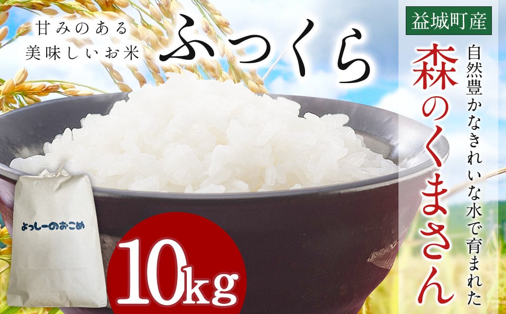 令和7年産 益城町 精米 森のくまさん 10kg お米 【2025年11月上旬より順次発送予定】熊本県益城町30500米・パン白米