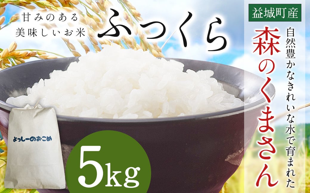 ߘa7NY v钬  X̂܂ 5kg   y2025N11{菇\zF{v钬19500āEp