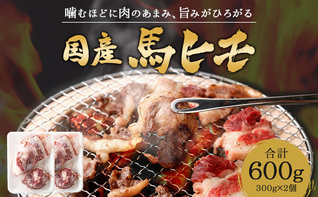国産 馬ヒモ 焼肉用 600g 馬肉 お肉 煮込み 冷凍 熊本県熊本県益城町24000肉ジビエ