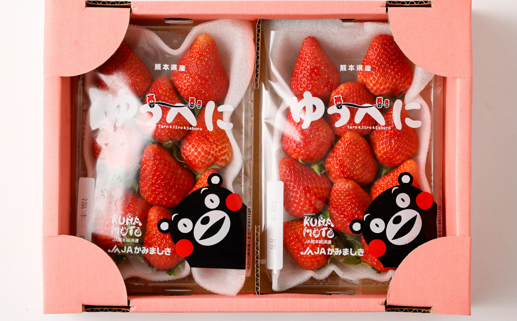 y2023N11{Jnzn ǂ _ƒu䂤ׂɁv3L 250g×2pbN v500g  C`S F{YF{v钬12000ʕEt[c
