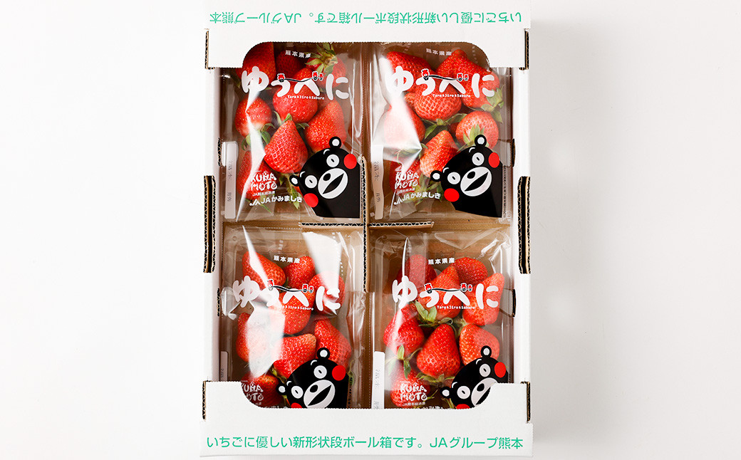 y2023N11{Jnzn ǂ _ƒu䂤ׂɁv2L`3L 250g×4pbN v1kg  C`S F{YF{v钬20000ʕEt[c