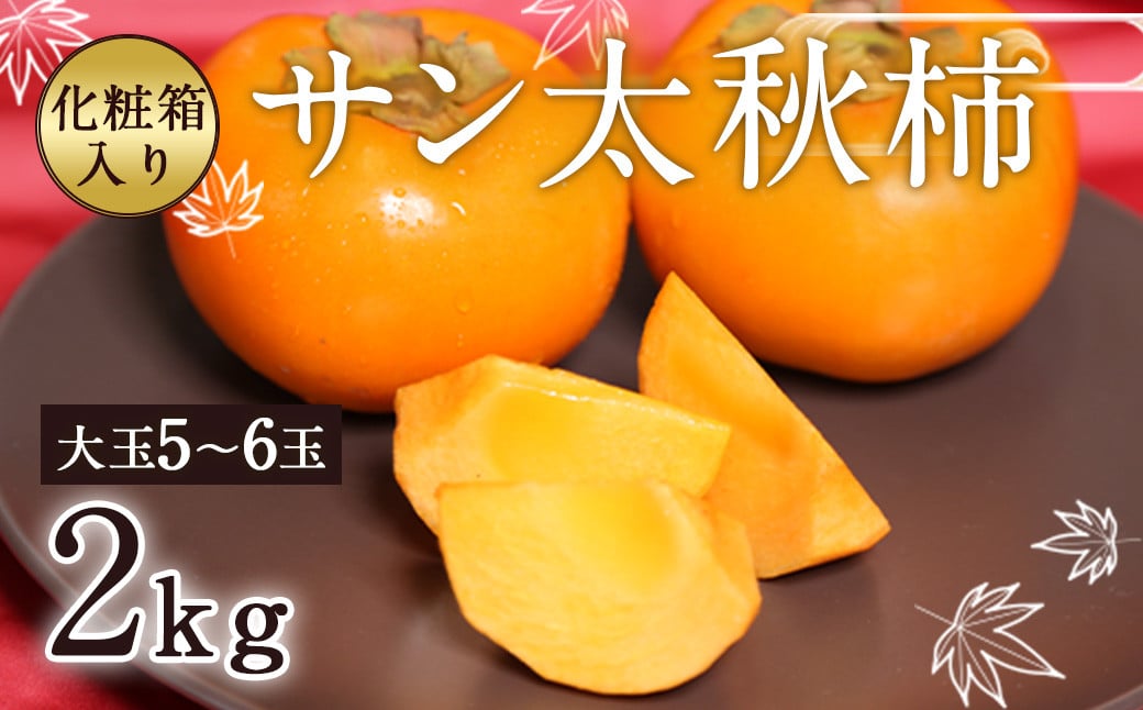 サン太秋 化粧箱 大玉 5〜6玉 約2kg 【2025年10月下旬〜12月上旬発送予定】熊本県益城町17500果物・フルーツその他 果物・フルーツ