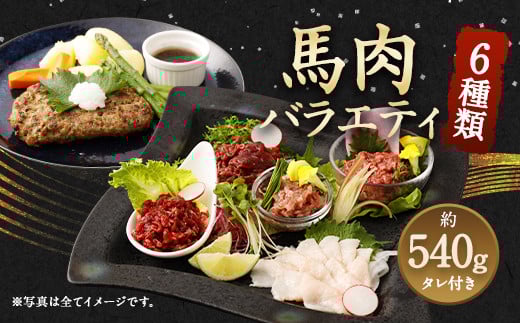 6種 馬肉 バラエティ 約540g タレ付き 馬刺し 食べ比べ熊本県益城町11000肉ジビエ