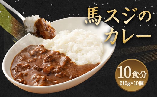 馬スジのカレー 10食 セット 210g×10 計2.1kg カレー熊本県益城町18000肉ジビエ