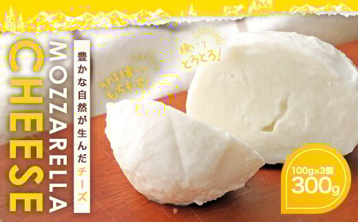 KUMAMOTO モッツァレラ 3個セット 300g(100g×3個)チーズ 生乳 乳製品熊本県益城町10000卵・乳製品チーズ