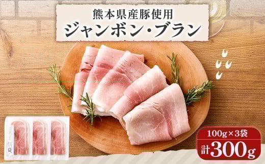 熊本県産 ハム 3個セット 100g×3個 計300g ジャンボンブラン はむ 豚 肉 スライス おつまみ 惣菜熊本県益城町9500肉加工肉(ハム・ソーセージ等)