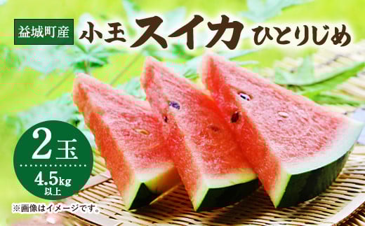 益城町産 スイカ 小玉 ひとりじめ 2玉 4.5kg以上 【2025年5月下旬〜6月上旬発送予定】熊本県益城町12000果物・フルーツメロン・スイカ