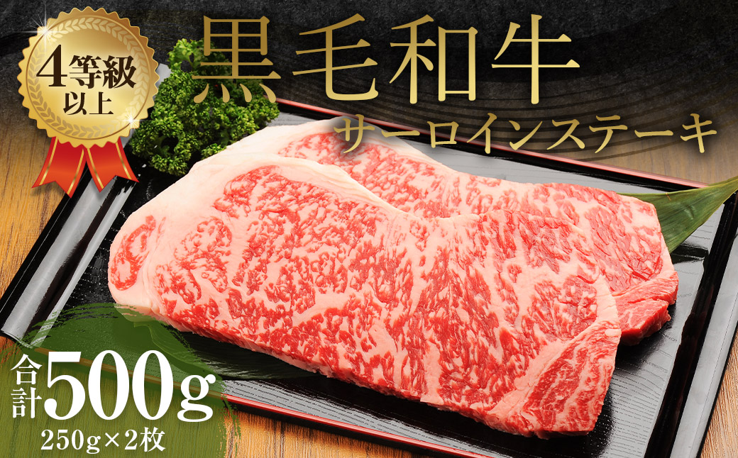 ܂ јa T[CXe[L 500gi250g×2j  F{v钬24500
