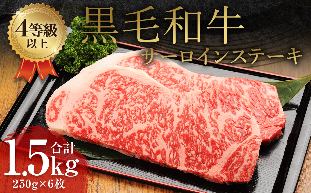 くまもと 黒毛和牛 サーロインステーキ 1.5kg(250g×6枚)牛肉 牛 肉熊本県益城町67500肉牛肉