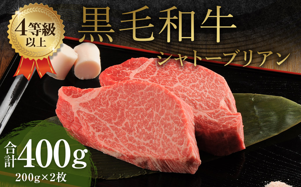 くまもと 黒毛和牛 シャトーブリアン 400g(200g×2枚)牛肉 牛 肉熊本県益城町37500肉牛肉