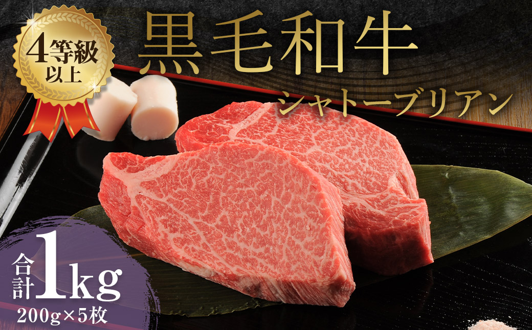 くまもと 黒毛和牛 シャトーブリアン 1.0kg(200g×5枚)牛肉 牛 肉熊本県益城町93500肉牛肉