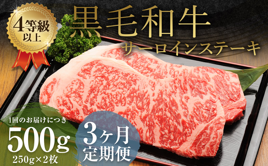 y3ցz܂ƍјa T[CXe[L 500gi250g×2j   F{v钬69500