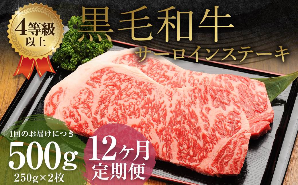 【12ヶ月定期便】くまもと黒毛和牛 サーロインステーキ 500g(250g×2枚) 牛肉 牛 肉熊本県益城町280000肉牛肉
