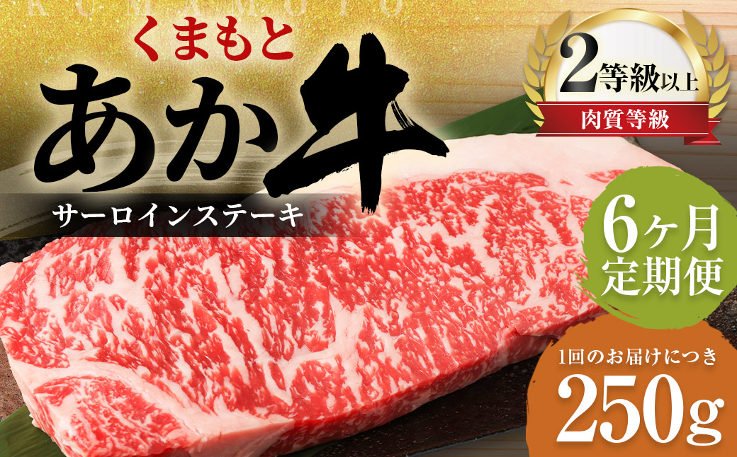 【6ヶ月定期便】くまもとあか牛サーロイン 250g×1枚 牛肉 牛 肉熊本県益城町84000肉牛肉