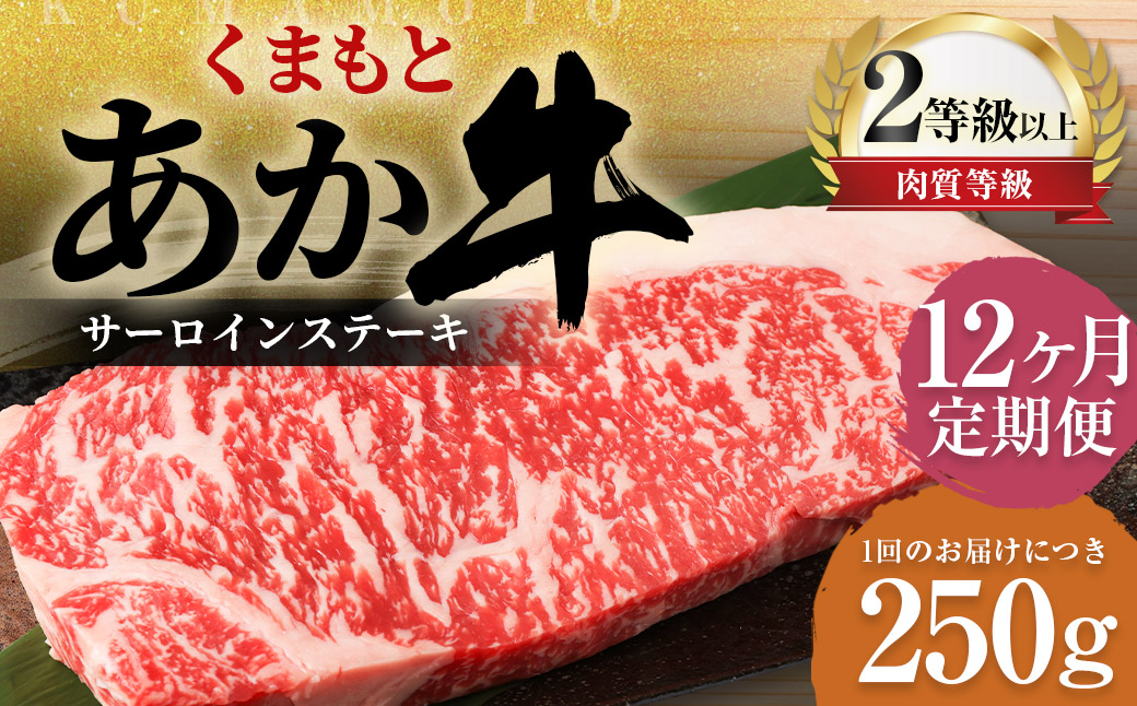 【12ヶ月定期便】くまもとあか牛 サーロイン 250g×1枚 牛肉 牛 肉熊本県益城町168500肉牛肉