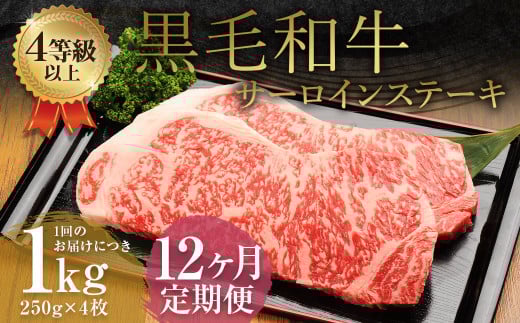 【12ヶ月定期便】くまもと黒毛和牛サーロインステーキ 1.0kg(250g×4枚)牛肉 牛 肉熊本県益城町549000肉牛肉