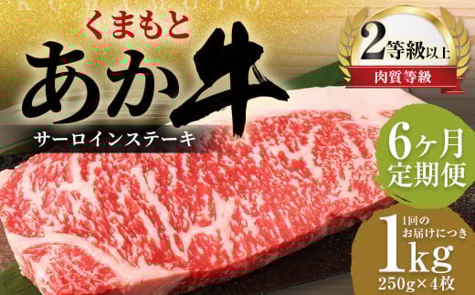 y6ցz ܂  T[C 1.0kgi250g×4j   F{v钬315500