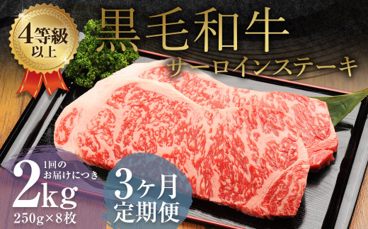 【3ヶ月定期便】 くまもと 黒毛和牛 サーロインステーキ 2.0kg(250g×8枚) 牛肉 牛 肉熊本県益城町271000肉牛肉