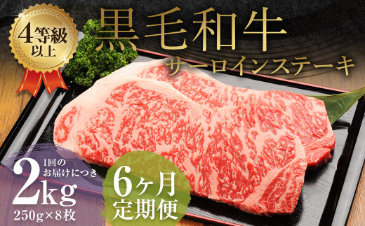 【6ヶ月定期便】 くまもと 黒毛和牛 サーロインステーキ 2.0kg(250g×8枚) 牛肉 牛 肉熊本県益城町543000肉牛肉