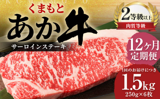 y12ցz ܂  T[C 1.5kgi250g×6j   F{v钬942500