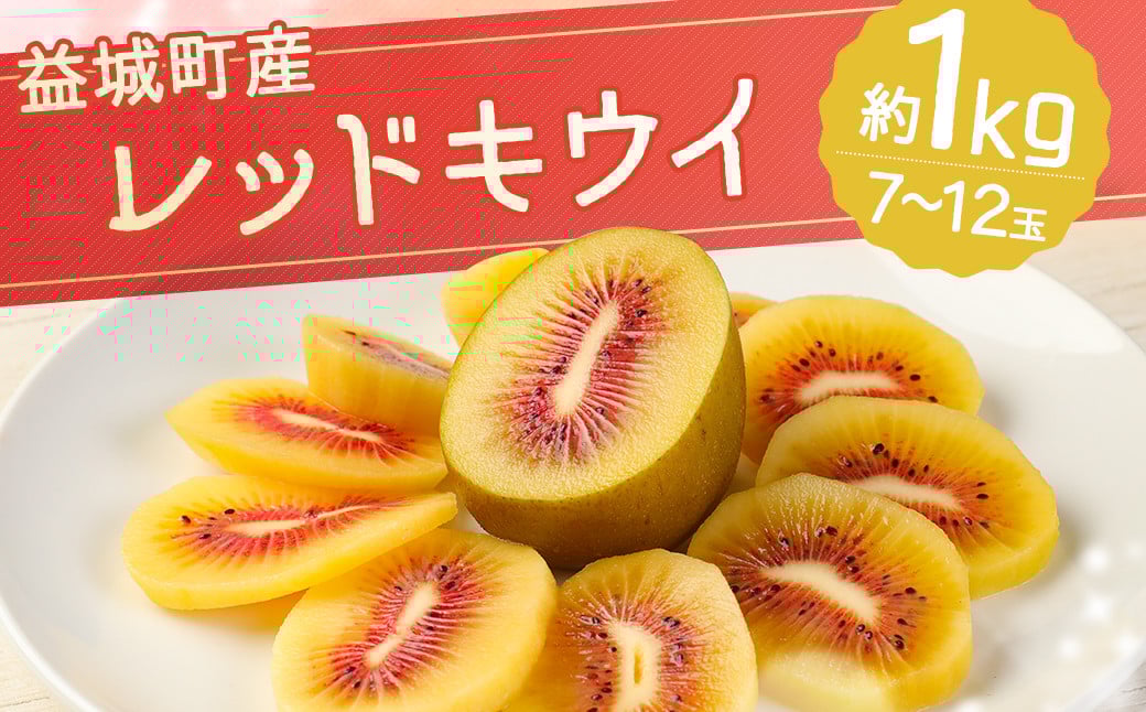 益城町産 レッドキウイ 約1kg(7〜12玉)【2025年10月下旬〜2026年2月上旬順次発送予定】熊本県益城町12500果物・フルーツその他 果物・フルーツ