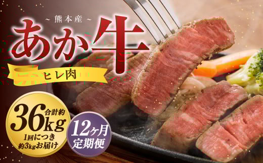 【12か月定期便】 熊本 あか牛 ヒレ肉 約3kg (約150g×15枚〜18枚) 牛 肉 牛肉 ヒレ ステーキ熊本県益城町2494000肉牛肉