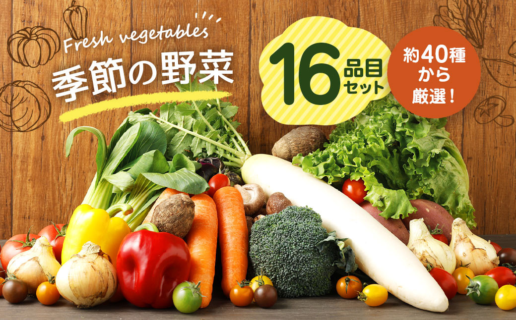 季節の野菜 16品目 セット 野菜 詰め合わせ おまかせ 冷蔵 国産熊本県益城町10000野菜・きのこその他 野菜