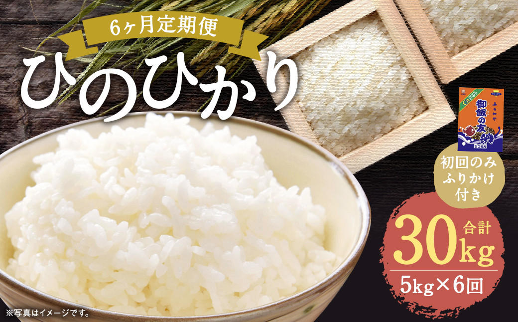 【6回定期便】ひのひかり 5kg (初回 ご飯の友 付き) 計30kg 熊本 米 ふりかけ 御飯の友 【2025年10月上旬より1回目の発送予定】熊本県益城町91000米・パン白米