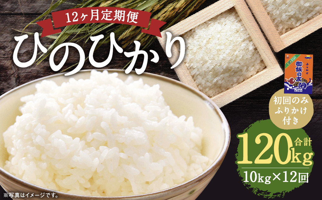 【12回定期便】ひのひかり 10kg (初回 ご飯の友 付き) 計120kg 熊本 米 ふりかけ 御飯の友【2025年10月上旬より1回目の発送予定】熊本県益城町354000米・パン白米