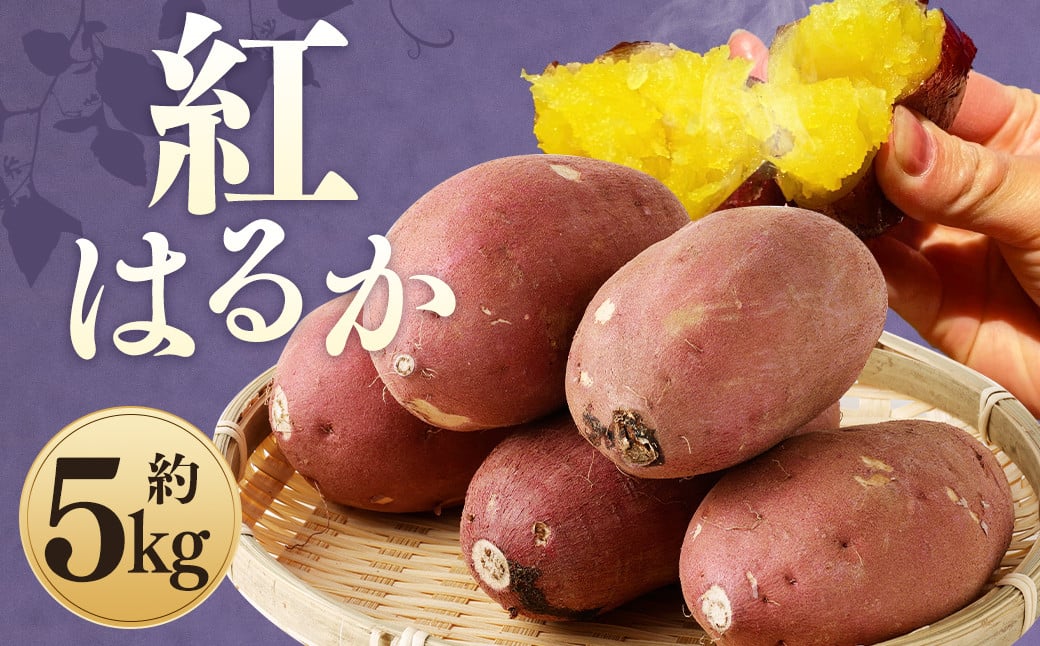 紅はるか 約5kg サツマイモ さつま芋 芋 野菜 いも 熊本県産 【2024年9月上旬-2025年7月上旬発送予定】熊本県益城町12000野菜・きのこじゃがいも・イモ類
