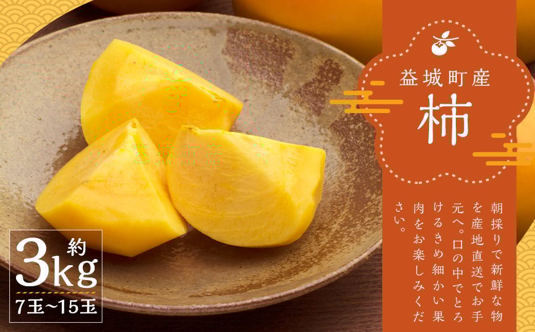 産地直送 朝採り 柿 約3kg 【2024年9月上旬-10月下旬発送予定】熊本県益城町12000果物・フルーツその他 果物・フルーツ