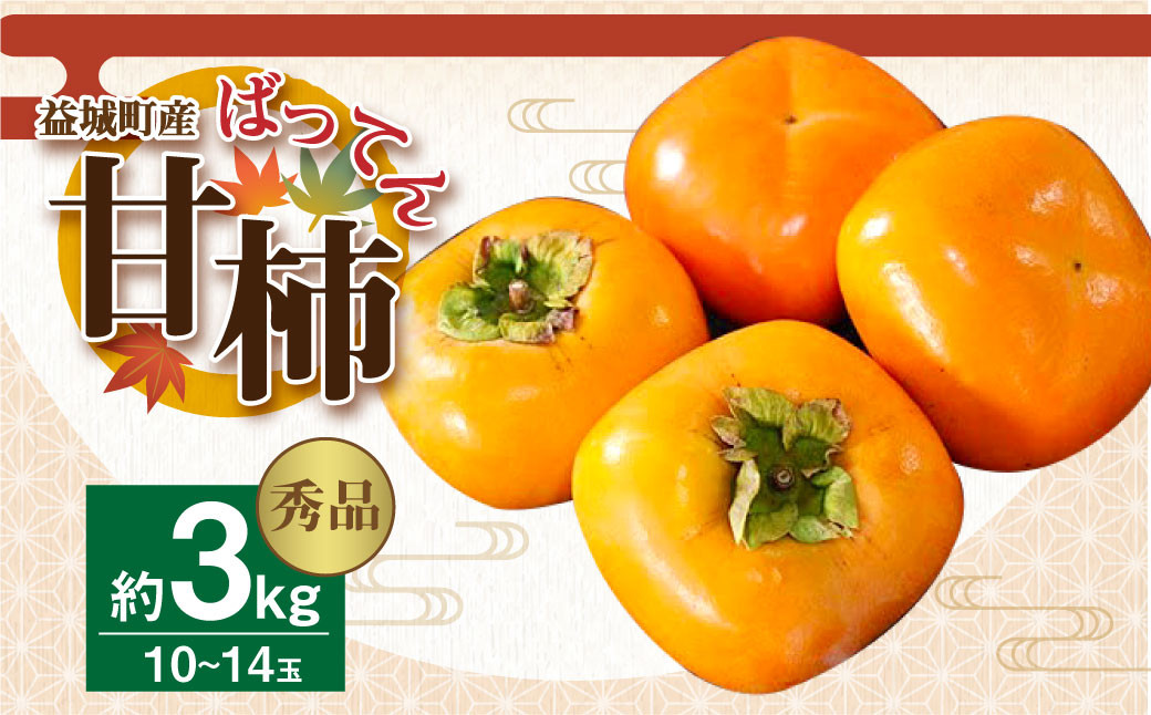 【2023年10月上旬発送開始】 益城産 ばってん甘柿 秀品 約3kg 柿 10~14玉 果物熊本県益城町11000果物・フルーツその他 果物・フルーツ
