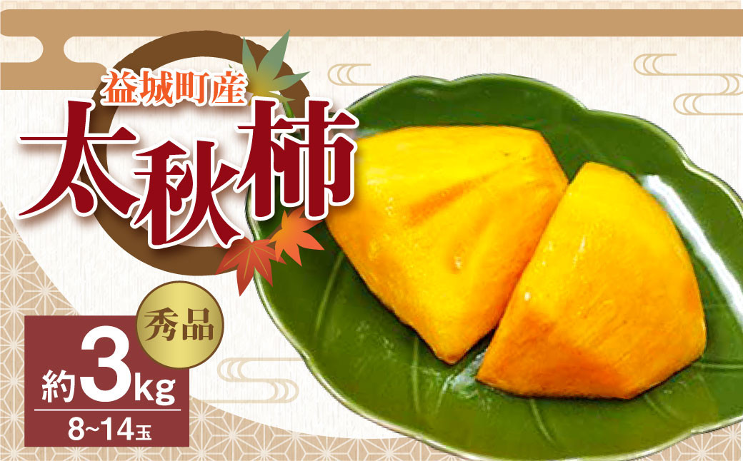 y2023N10{Jnz vY H` Gi 3kg ` 8~14 ʕF{v钬11000ʕEt[c̑ ʕEt[c