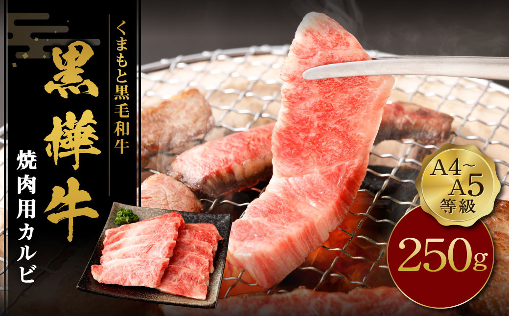 くまもと黒毛和牛 杉本本店 黒樺牛 A4~A5等級 焼肉用カルビ 250g熊本県益城町11000肉牛肉