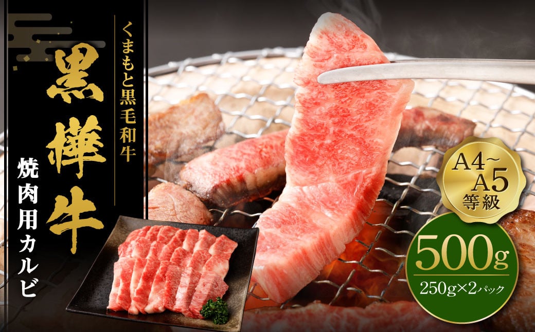 くまもと黒毛和牛 杉本本店 黒樺牛 A4~A5等級 焼肉用カルビ 250g×2 計500g熊本県益城町21000肉牛肉