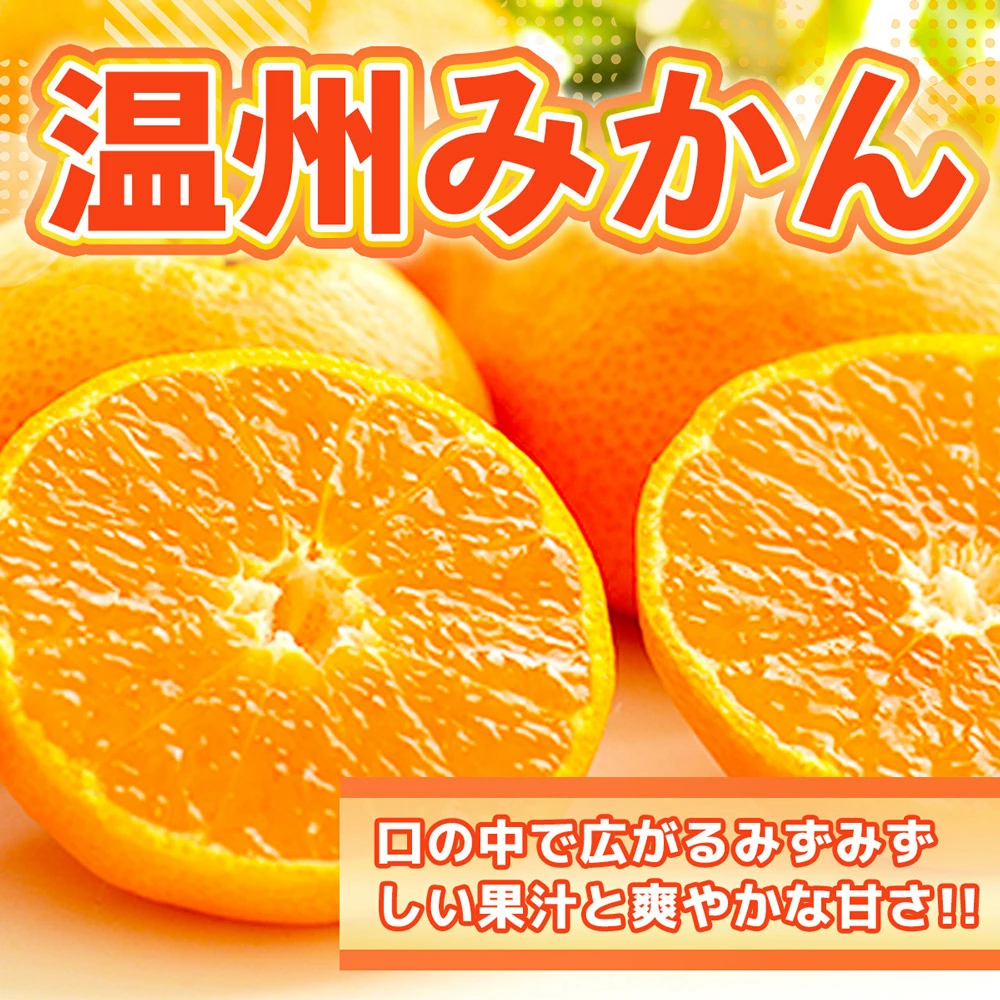 温州みかん 約2.5kg 2S〜2L みかん 果物 くだもの 旬 益城町産【2024年12月上旬まで発送予定】熊本県益城町6000果物・フルーツみかん・柑橘類