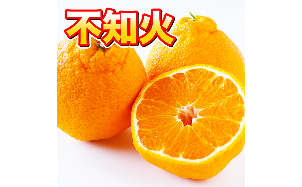 sm 7kg fR| ʕ  { v钬Yy2025N2{-4{\zF{v钬16000ʕEt[c݂Ek