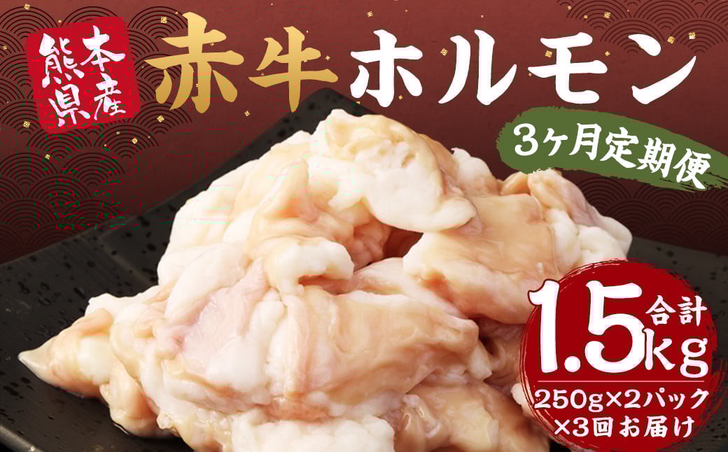 【定期便年3回】赤牛 ホルモン 500g 250g×2パック 計1.5kg シロホルモン もつ鍋 もつ煮込み 牛 もつ熊本県益城町33000肉牛肉