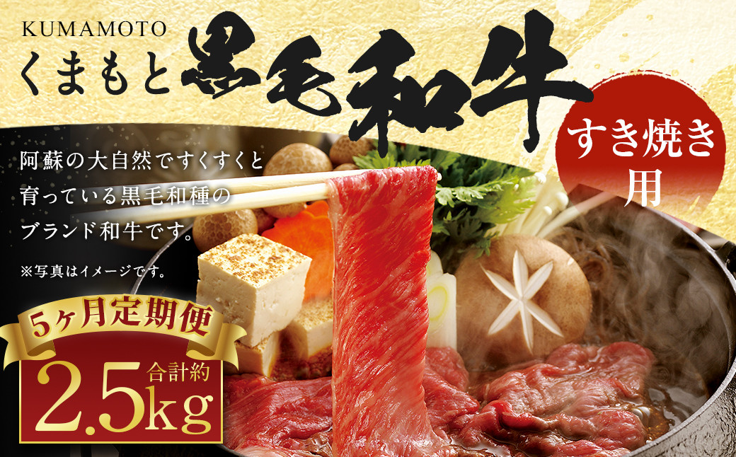 【定期便5回】くまもと 黒毛和牛 すきやき用 約500g熊本県益城町69000肉牛肉