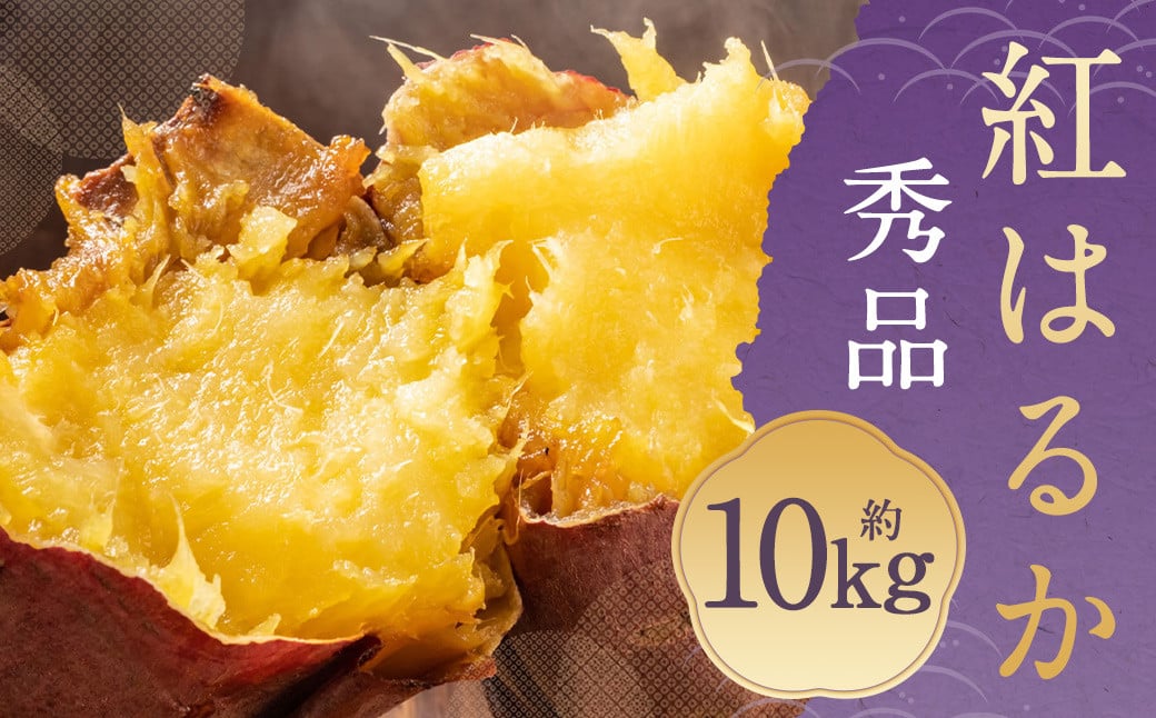 ܂ g͂邩 Gi 10kg v钬Y Tc}C g  F{v钬15000؁ÊႪEC
