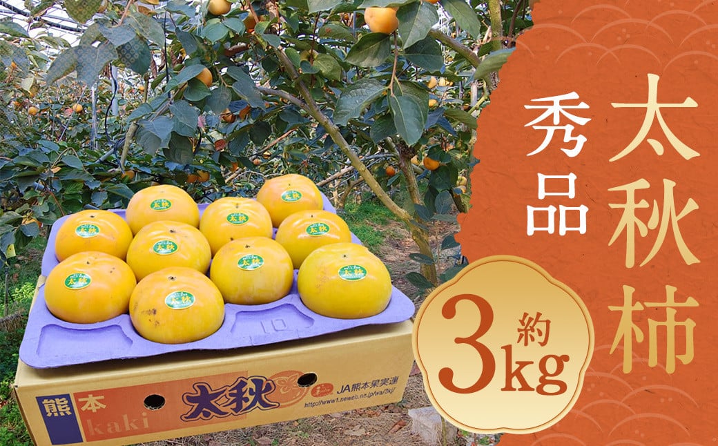 H` Gi 3kgi8`14j uh` `  イ Ê` t[c XC[c  ʕ ʎ H { v钬Y y2025N10{`11{\zF{v钬17500ʕE