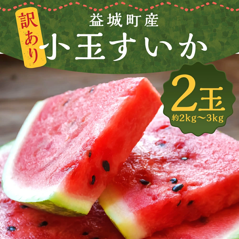 󂠂 ʂ 2 2`3kg  F{  Z ЂƂ肶 ʕ t[c y2025N5{`7{\zF{v钬10500ʕEt[cEXCJ