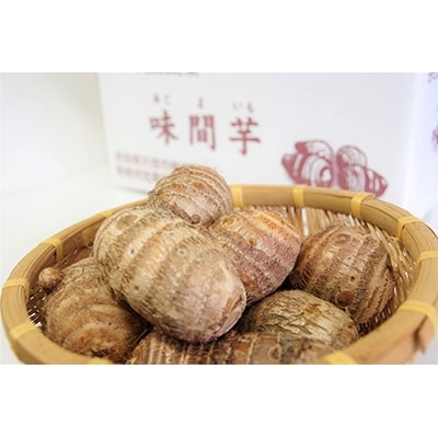 味間芋 3kg【1071474】奈良県天理市11000野菜・きのこじゃがいも・イモ類