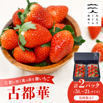 古都に咲く真っ赤な華いちご「古都華」(270g以上/3L〜2Lサイズ/9〜11粒)×2P 化粧箱入り【配送不可地域:離島】【1102952】奈良県天理市13000果物・フルーツいちご