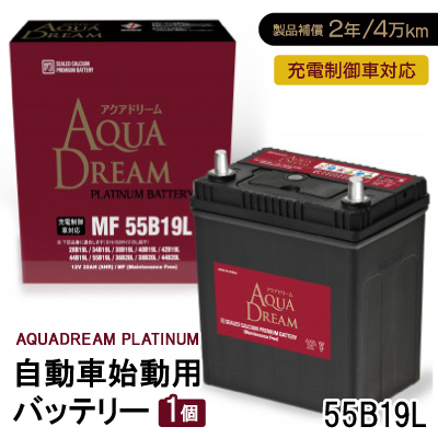 AQUADREAM PLATINUM Ԏnpobe[ [dԑΉ  55B19L 1yzsnFzy1565587zޗǌVs17000diƓd