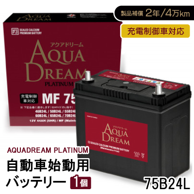 AQUADREAM PLATINUM Ԏnpobe[ [dԑΉ  75B24L 1yzsnFzy1565893zޗǌVs23000diƓd